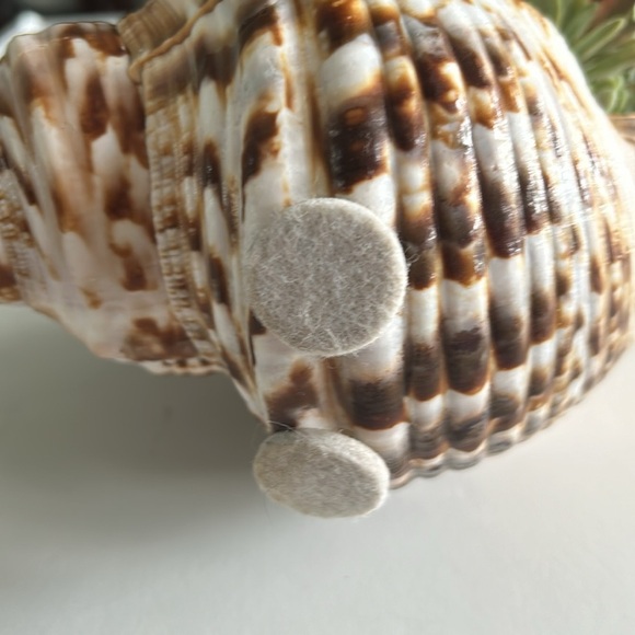 Shell Art Triton Trumpet Shell Faux Floral Planter Decor - Picture 8 of 10